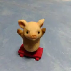 バンザイする子ブタちゃん