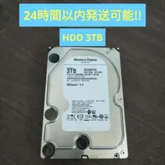 Western Digital HDD 3TB