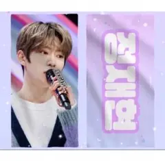 NCT 127 限定　ジェヒョン　ライブ　スローガン　グッズ　30x60cm