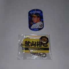 Item thumbnail for item ed4bd145-ef40-49f2-8a96-9c06def4e04a