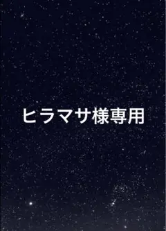ヒラマサ様専用ページ