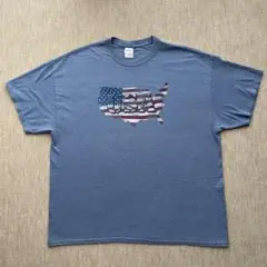 GILDAN USA国旗デザイン Tシャツ 2XL