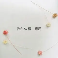 みかん様　専用