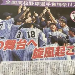 第107回全国高校野球選手権神奈川大会の特集記事 2025年7月読売新聞横浜高校
