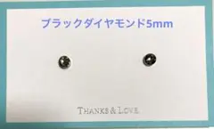 マグネットイヤリング ブラックダイヤモンド5mm×Sキャッチ