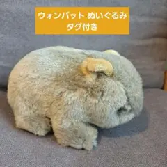 ウォンバット ぬいぐるみ