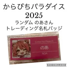からぴちパラダイス2025 のあさん トレーディング名札バッジ ランダム