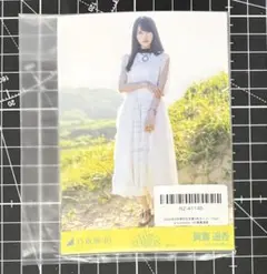 Item thumbnail for item b91e8398-daa8-4809-a47a-9f9f648fc2e9