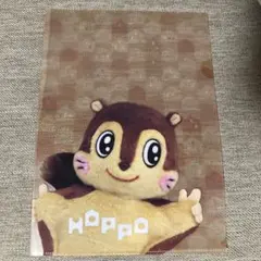 北方型住宅クリアファイル　hoppo