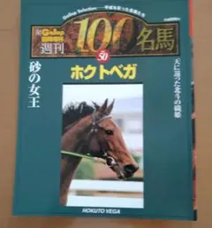 臨時増刊 週刊100名馬 ホクトベガ㊿