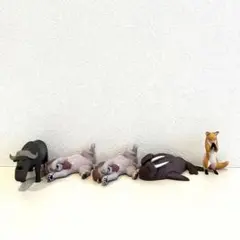 動物フィギュア　5個セット　ガチャガチャ