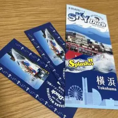 横浜観光 スカイダック 招待券 横浜 水陸両用