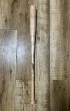 Item thumbnail for item 51cab32e-c170-447d-9a0a-cfe2653a5078