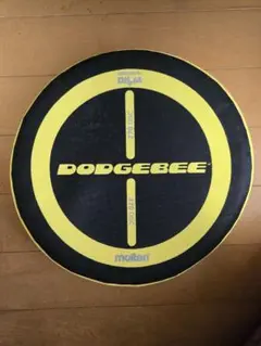 Item thumbnail for item 25805f7f-a099-4c95-959b-26d301b2d42b