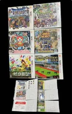 【ケースのみ】ニンテンドー3DS