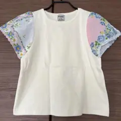 パラビオン　ハンカチ　ティシャツ