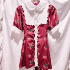 Ank Rouge セットアップ