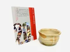 Item thumbnail for item 59c21a6c-7192-4ec3-9a23-c2719cfae1fc