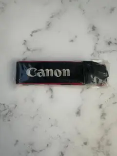 Item thumbnail for item 594de26a-7765-46fb-8bca-1c52d4b09e10