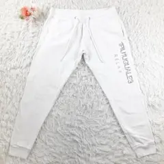 Item thumbnail for item c8a5daf2-93fa-46ba-a149-124f41696d31