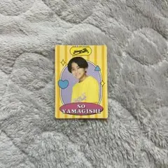 【♡ま♡出品】山岸想 プロフィールカード プロカ　公式写真 山岸想 プロフィールカード | ファミクラストア オンライン