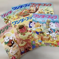 ワンダーブック　6冊　セット