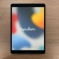 iPad pro 10.5インチ Wi-Fi cellurar モデル f822