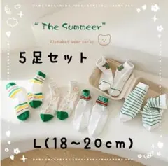 5足セット 18~20cm 夏 メッシュ グリーン 男女兼用 Lサイズ くま