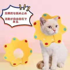 Item thumbnail for item b91c48a9-5fc1-4bdb-a18e-4d89654f36a8