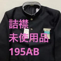【新品・未使用品】※詰襟　標準型学生服　上着のみ　学ラン　195AB　10081