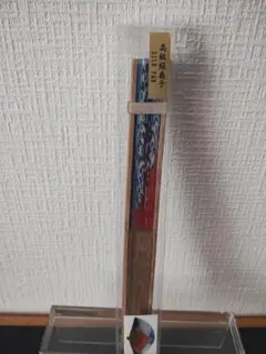 Item thumbnail for item e35fd4dc-3fdd-454a-97ca-27f91bb8fcc0