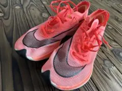 Item thumbnail for item 763ed93b-6848-4db1-93dc-cb9e4d422499