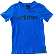 Item thumbnail for item a62822e2-0f4d-4f51-955f-a8c581b4231f