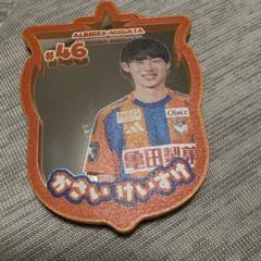 アルビレックス新潟　笠井　46