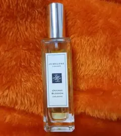 Item thumbnail for item e3e43e89-b6d0-4e18-9e8f-df9db57128e7