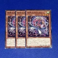 遊戯王 絢嵐たるエルダム 3枚 ノーマル