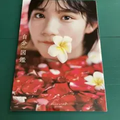 自分図鑑