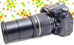 Item thumbnail for item c41b2979-1e8f-478e-b128-a77ec5458d6b