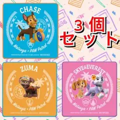 新品　パウっとひんやりタオル 松屋 パウパト 【3枚セット】