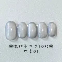 【即購入ok・チップ変更可能】マグネットネイルチップ　ニュアンス　四季01