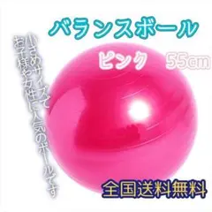 バランスボール ピンク ペット ヨガ ピラティス 体幹トレーニング 寝かしつけ