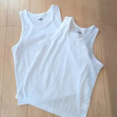 Item thumbnail for item ec9df30e-89e8-410a-bd48-312f96246de8