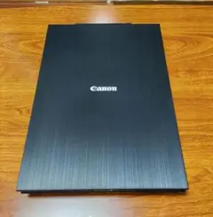 Item thumbnail for item 86b03a19-3df1-4859-800b-e21175ca3ed2