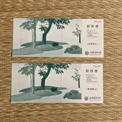 山種美術館 鑑賞券