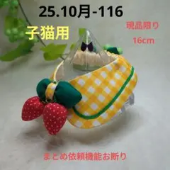 Item thumbnail for item c23c9c64-6006-4d5d-8c58-b58b5a93316b