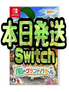【新品未開封】 Switch 牧場物語 Let's! 風のグランドバザール