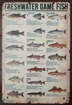 FRESHWATER GAME FISH