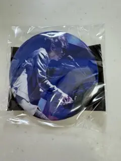 TMNETWORK inside デコガチャ 缶バッジ宇都宮隆小室哲哉2点セット TMNETWORK inside デコガチャ 缶バッジ宇都宮隆小室哲哉2点
