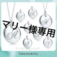 TIFFANY&CO. ノーツ レター アルファベット イニシャル T