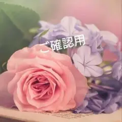 ペコ様 専用になります
